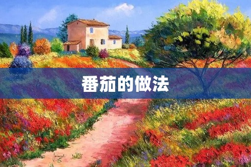 番茄的做法:鲜美多样的番茄美食 番茄的做法:鲜美多样的番茄美食