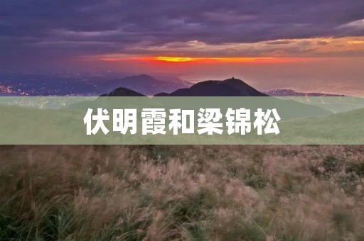 伏明霞和梁锦松:两位中国乒乓球传奇的辉煌历程 伏明霞和梁锦松:两位中国乒乓球传奇的辉煌历程