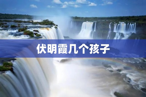 伏明霞几个孩子：一个母亲的奋斗与爱