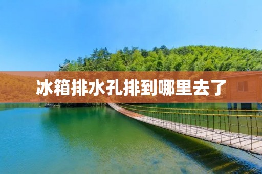 冰箱排水孔排到哪里去了