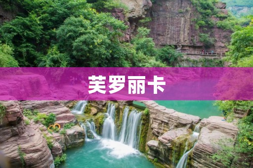 芙罗丽卡：探寻自然之美