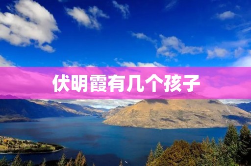 伏明霞有几个孩子 伏明霞有几个孩子