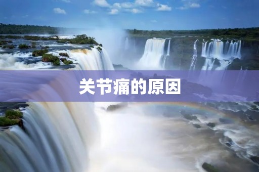 关节痛的原因