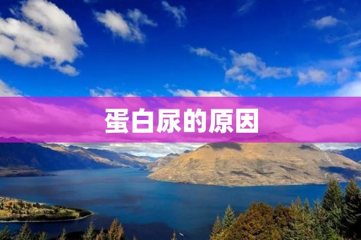 蛋白尿的原因