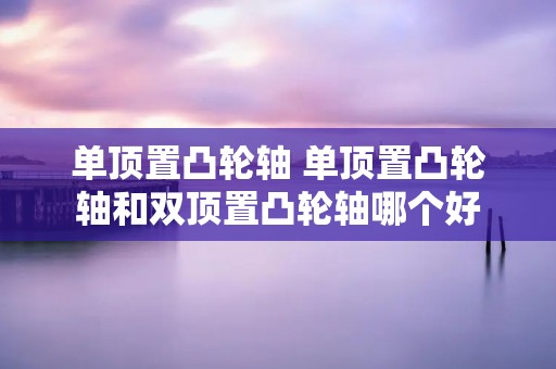 单顶置凸轮轴 单顶置凸轮轴和双顶置凸轮轴哪个好