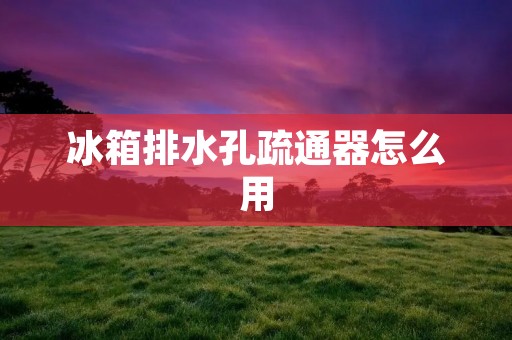 冰箱排水孔疏通器怎么用