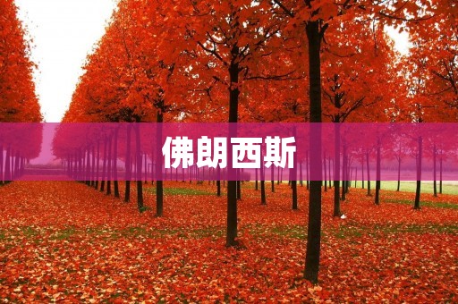 佛朗西斯：一位艺术与科学的交融之光