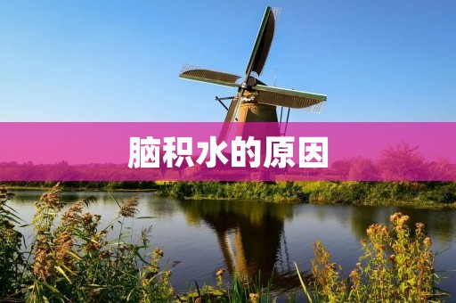 脑积水的原因