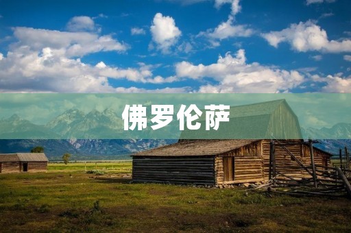 佛罗伦萨：意大利文艺复兴的瑰宝