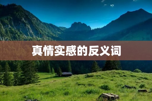 真情实感的反义词:虚情假意