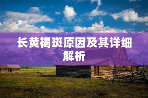 长黄褐斑原因及其详细解析