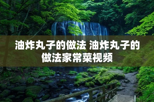 油炸丸子的做法 油炸丸子的做法家常菜视频