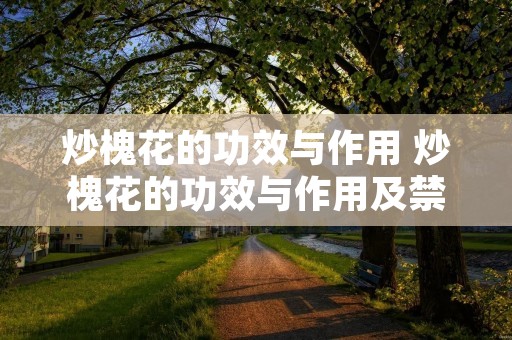 炒槐花的功效与作用 炒槐花的功效与作用及禁忌