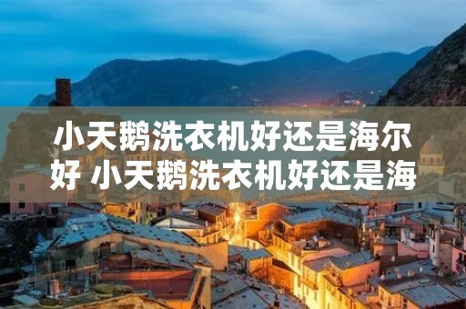 小天鹅洗衣机好还是海尔好 小天鹅洗衣机好还是海尔好半自动 小天鹅洗衣机好还是海尔好 小天鹅洗衣机好还是海尔好半自动