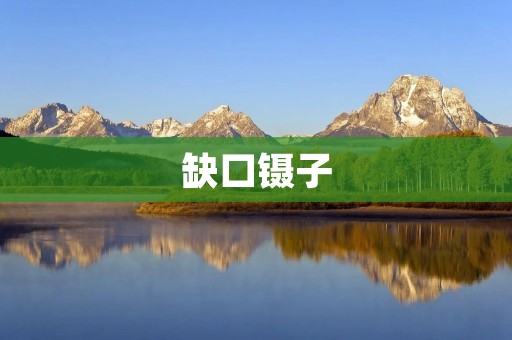 缺口镊子:解决细小缝隙难题的必备工具