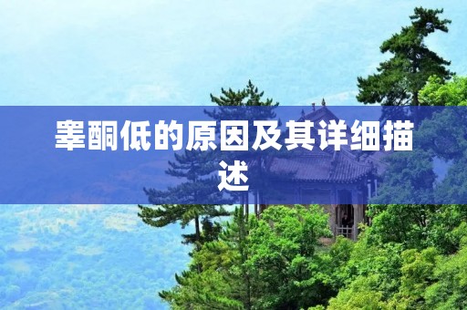 睾酮低的原因及其详细描述