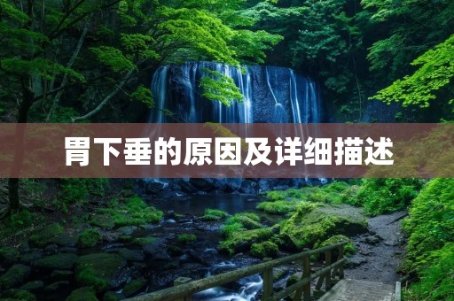 胃下垂的原因及详细描述