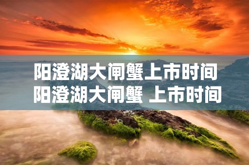 阳澄湖大闸蟹上市时间 阳澄湖大闸蟹 上市时间 阳澄湖大闸蟹上市时间 阳澄湖大闸蟹 上市时间
