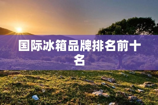 国际冰箱品牌排名前十名:让你了解全球顶尖冰箱品牌的魅力 国际冰箱品牌排名前十名:让你了解全球顶尖冰箱品牌的魅力