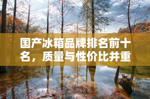 国产冰箱品牌排名前十名,质量与性价比并重 国产冰箱品牌排名前十名,质量与性价比并重