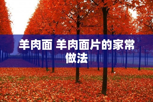羊肉面 羊肉面片的家常做法