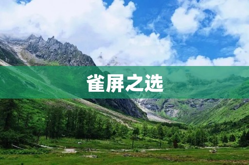 雀屏之选:独具匠心的精选之作