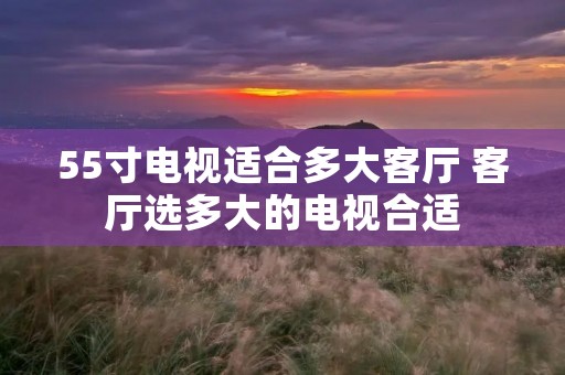 55寸电视适合多大客厅 客厅选多大的电视合适 55寸电视适合多大客厅 客厅选多大的电视合适
