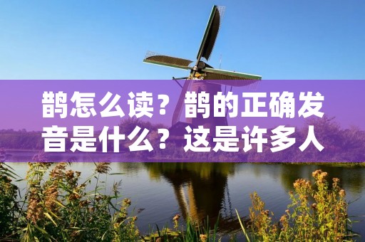 鹊怎么读?鹊的正确发音是什么?这是许多人在学习中文时常常遇到的问题。本文将详细介绍鹊的正确发音,并提供一些帮助您正确发音的技巧和方法。