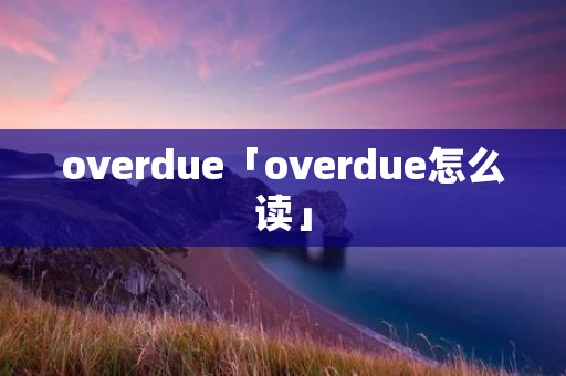 overdue「overdue怎么读」