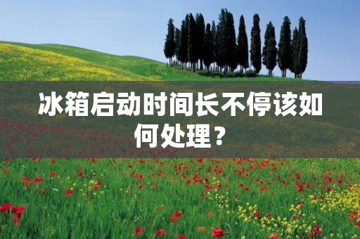 冰箱启动时间长不停该如何处理? 冰箱启动时间长不停该如何处理?