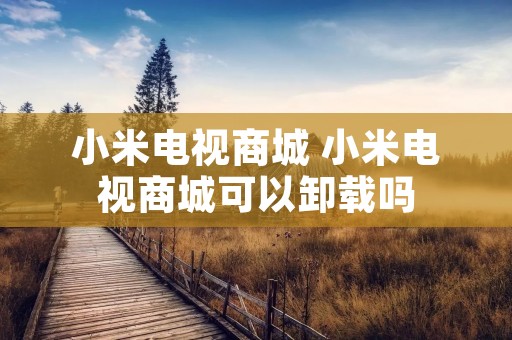 小米电视商城 小米电视商城可以卸载吗