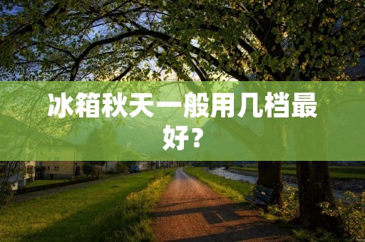 冰箱秋天一般用几档最好? 冰箱秋天一般用几档最好?