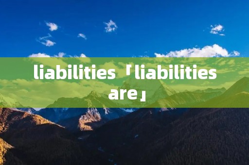 liabilities「liabilities are」