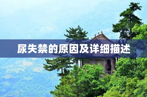 尿失禁的原因及详细描述