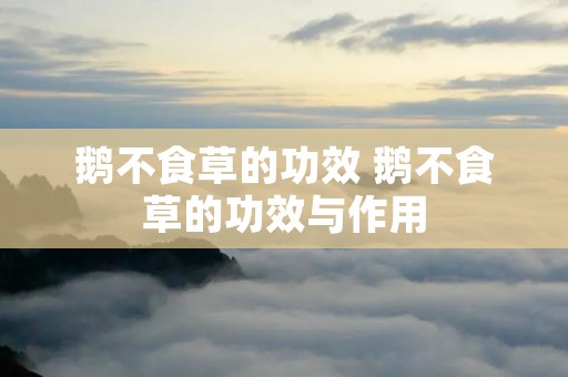 鹅不食草的功效 鹅不食草的功效与作用