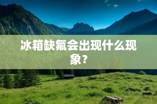 冰箱缺氟会出现什么现象？