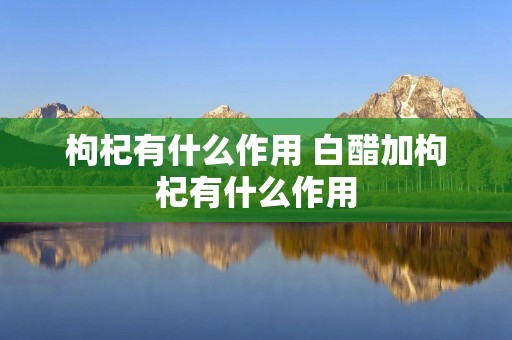 枸杞有什么作用 白醋加枸杞有什么作用 枸杞有什么作用 白醋加枸杞有什么作用