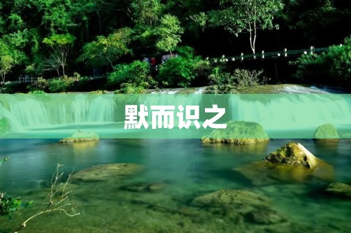 默而识之:一种深入思考的智慧之道