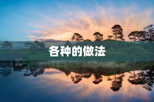 各种的做法：探索美食的无限可能