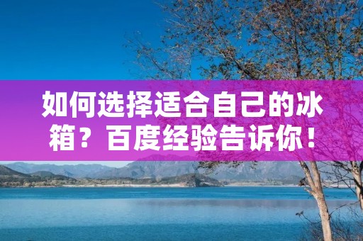 如何选择适合自己的冰箱?百度经验告诉你! 如何选择适合自己的冰箱?百度经验告诉你!