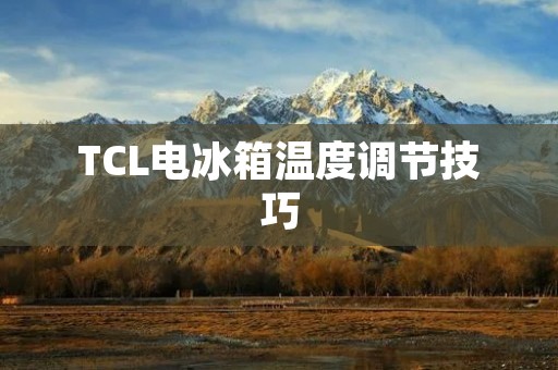 TCL电冰箱温度调节技巧 TCL电冰箱温度调节技巧