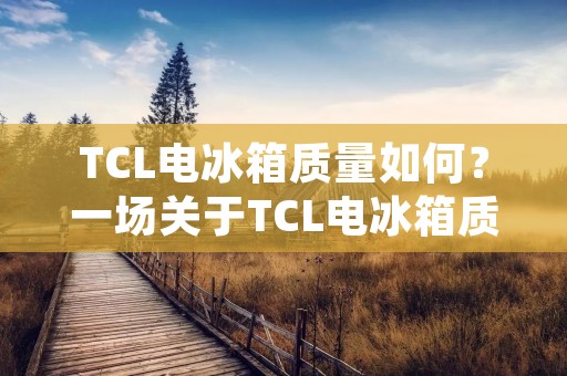 TCL电冰箱质量如何？一场关于TCL电冰箱质量的详细考察