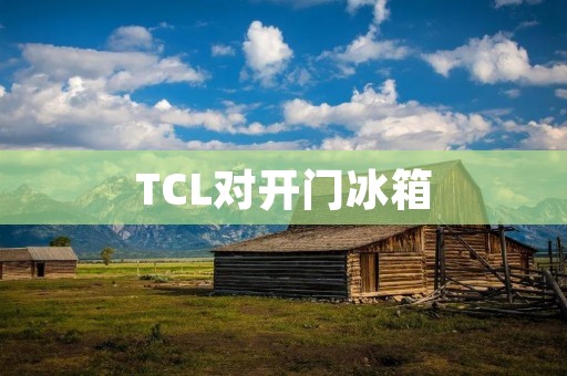 TCL对开门冰箱:高性能与智能融合的完美选择 TCL对开门冰箱:高性能与智能融合的完美选择