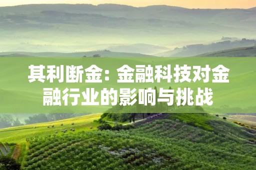 其利断金: 金融科技对金融行业的影响与挑战