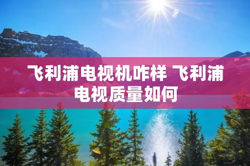 飞利浦电视机咋样 飞利浦电视质量如何