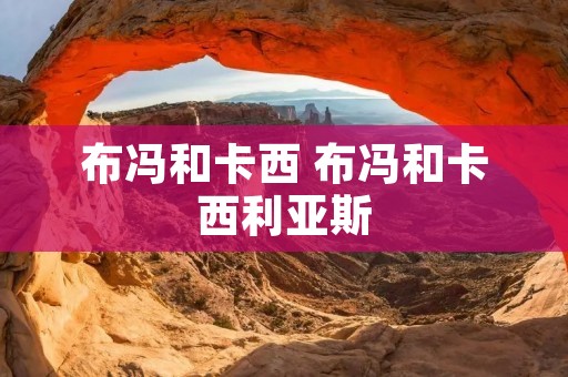 布冯和卡西 布冯和卡西利亚斯 布冯和卡西 布冯和卡西利亚斯