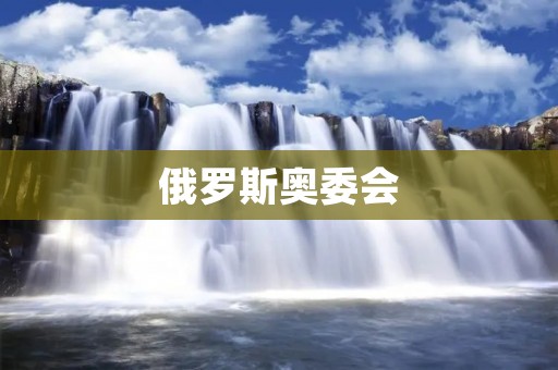 俄罗斯奥委会:曲折发展与重建之路 俄罗斯奥委会:曲折发展与重建之路