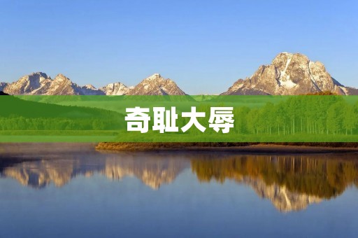 奇耻大辱:当代社会不可忽视的丑闻事件
