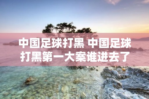 中国足球打黑 中国足球打黑第一大案谁进去了