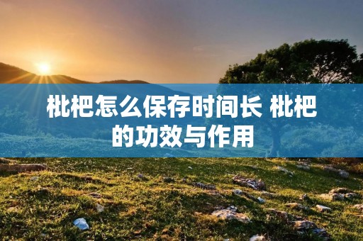 枇杷怎么保存时间长 枇杷的功效与作用